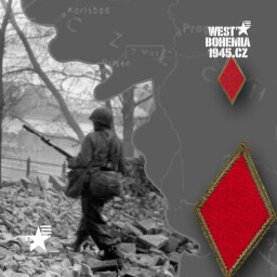 O1060 Originalni nasivka US 5. pesi divize